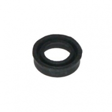 ��������� ���� ����