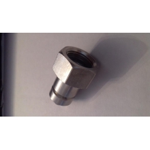 �������� ����� 