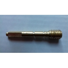 ���� ����� ������ ����