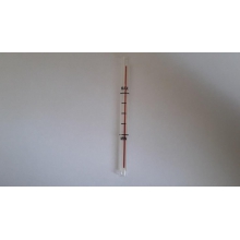 ������ ������ ���� Brasilia